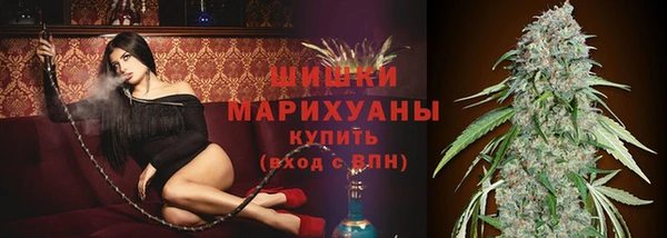 первитин Няндома