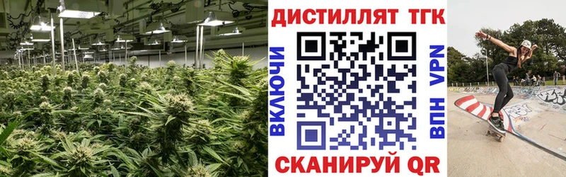 дарк нет клад  Новая Усмань  Дистиллят ТГК THC oil 