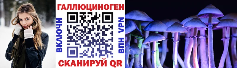 Псилоцибиновые грибы GOLDEN TEACHER  Новая Усмань 